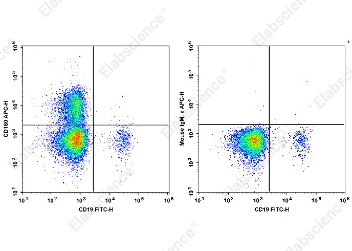 APC Anti-Human CD160 Antibody[BY55] - 1