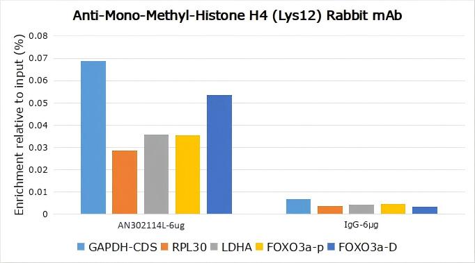Recombinant Histone H4 (Mono Methyl Lys12) Monoclonal Antibody - small - 9