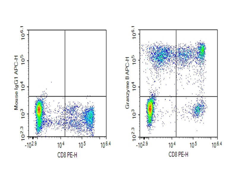 Human peripheral blood lymphocytes were stained with 0.2 ug Purified Anti-Human/Mouse Granzyme B Antibody[QA16A02] (Right) and 0.2 ug Mouse IgG1, &kappa; Isotype Control (Left), followed by APC-conjugated Goat Anti-Mouse IgG Secondary Antibody, then anti-Human CD8 PE-conjugated Monoclonal Antibody.