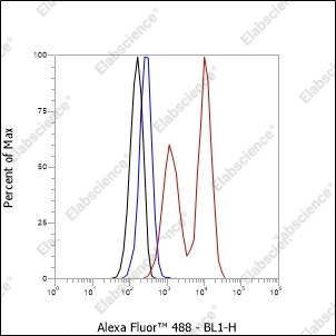 Recombinant ST13 Monoclonal Antibody - 3