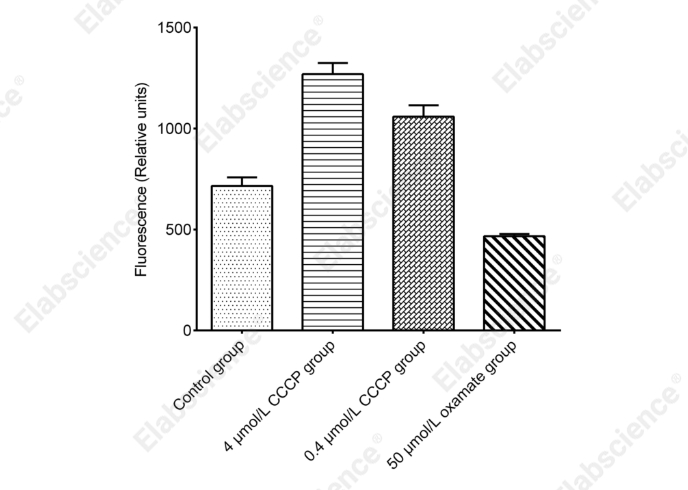 Extracellular Acidification Rate (ECAR)  Fluorometric Assay Kit - 1