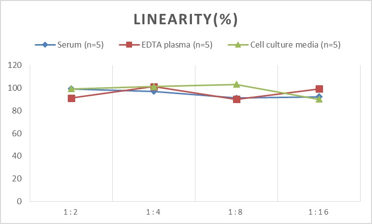 Mini Sample Mouse VEGF-A(Vascular Endothelial Cell Growth Factor A) ELISA Kit-1
