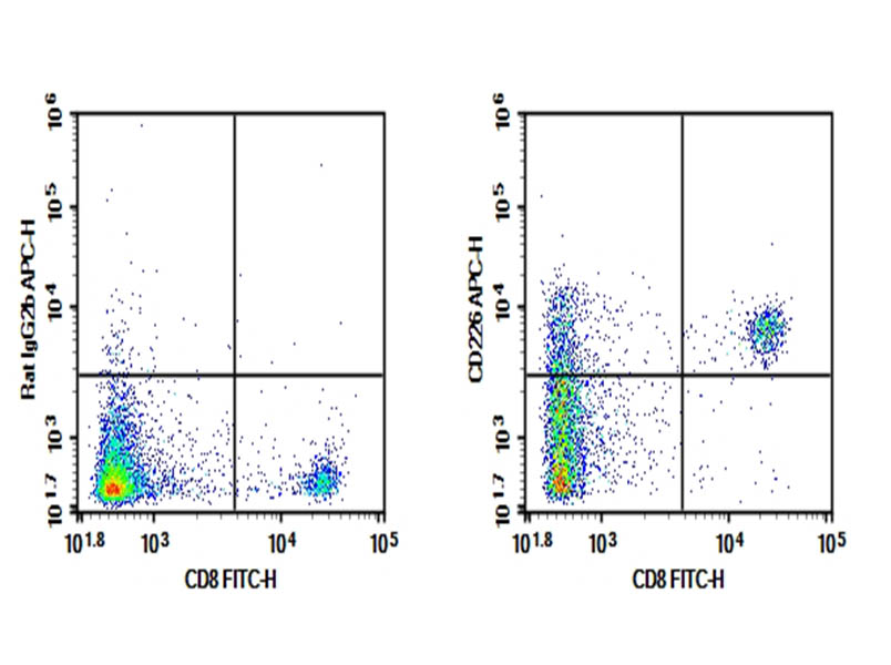 Purified Anti-Mouse CD226 Antibody[10E5]-searchlist-1