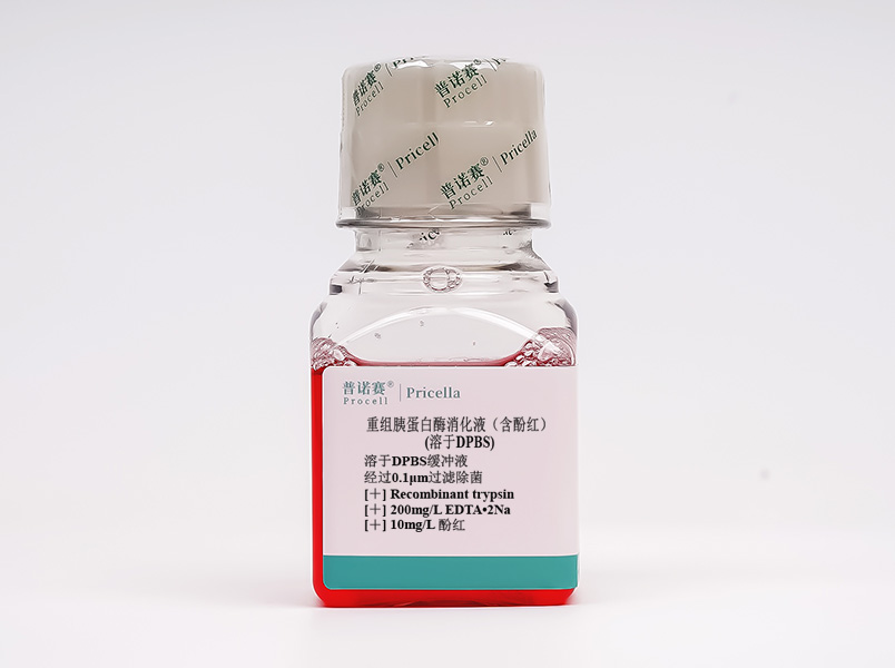 https://789.bio/ec/Kt1VSO