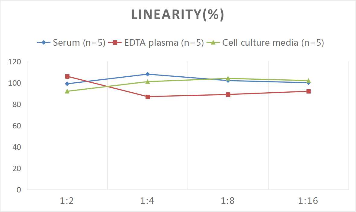 QuicKey Pro Mouse IgG(Immunoglobulin G) ELISA Kit-产品推荐-11
