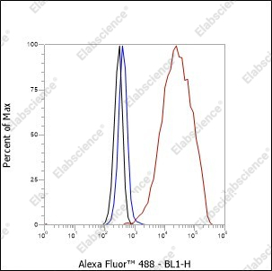 Recombinant FUBP1 Monoclonal Antibody - 8