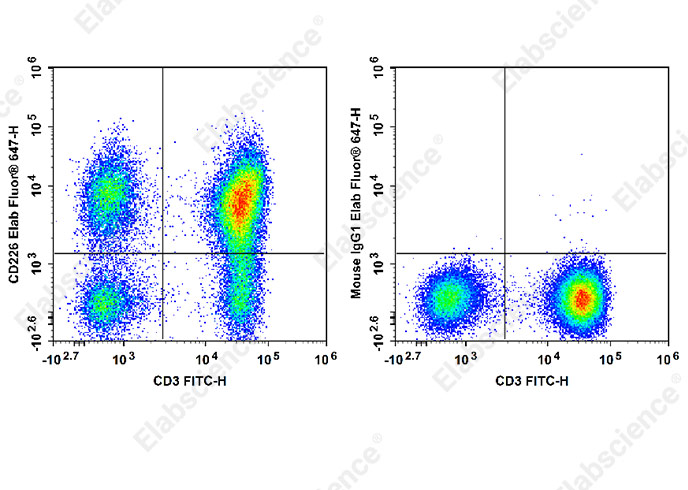Elab Fluor® 647 Anti-Human CD226/DNAM-1 Antibody[11A8]-1