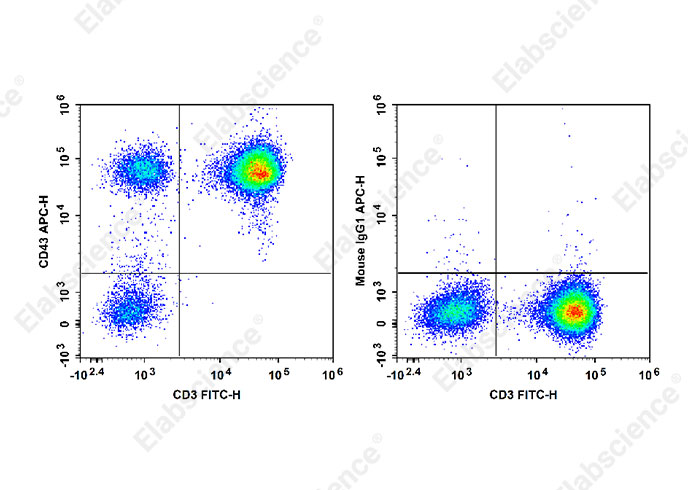APC Anti-Human CD43 Antibody[HI161]-1