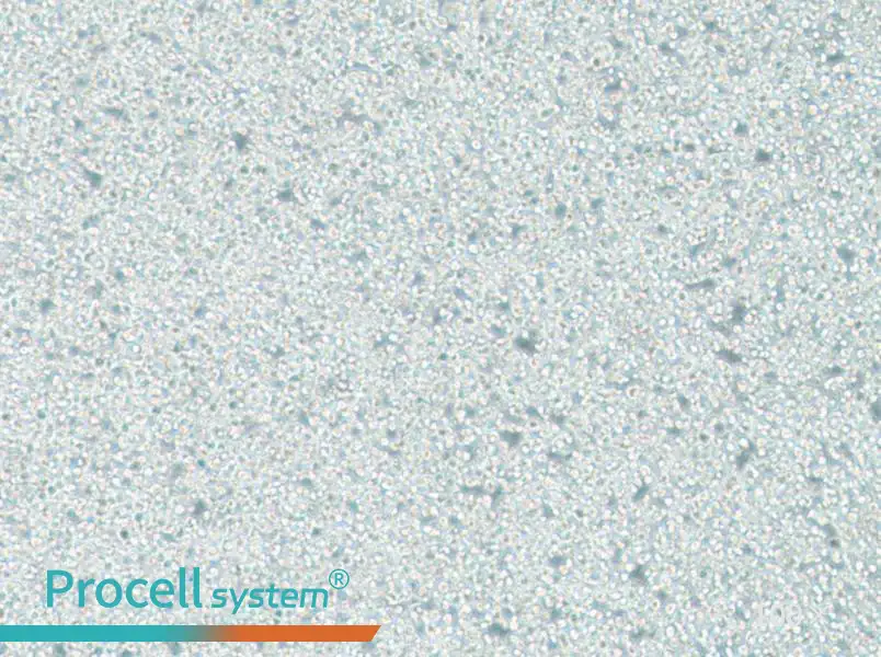 C1498 Cell Complete MediumC1498 Cell Complete Medium - 3