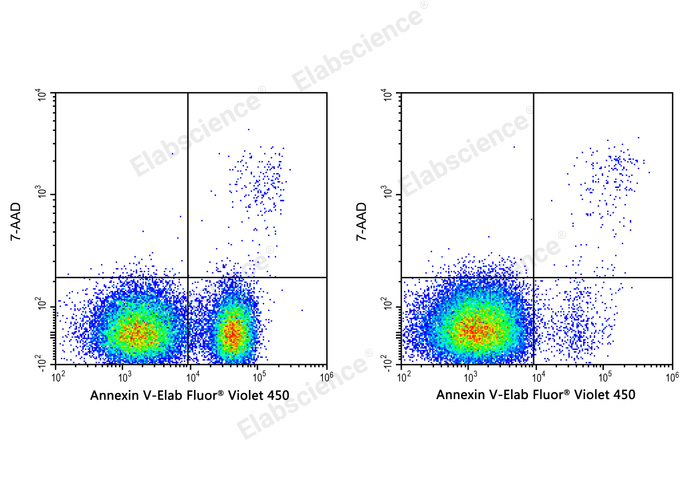 Annexin V-Elab Fluor® Violet 450/7-AAD Apoptosis Kit-1