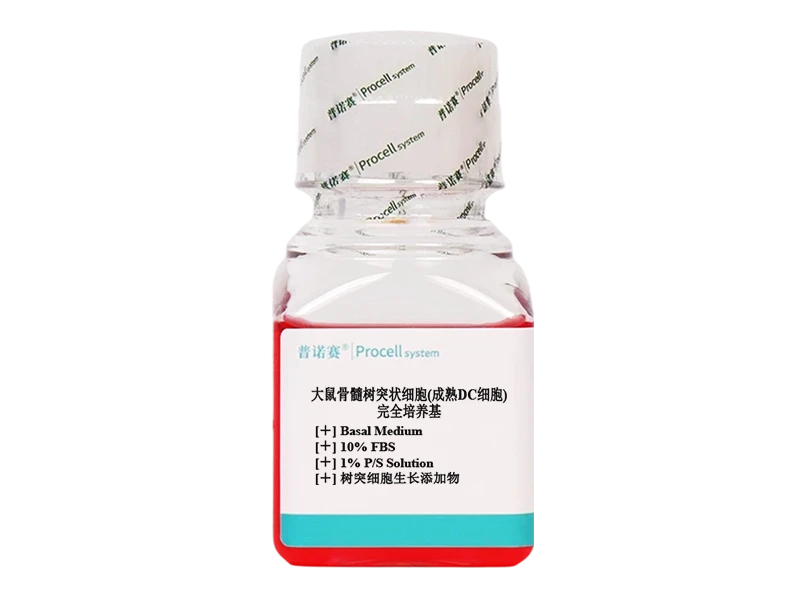 https://789.bio/ec/L4SuTYNq