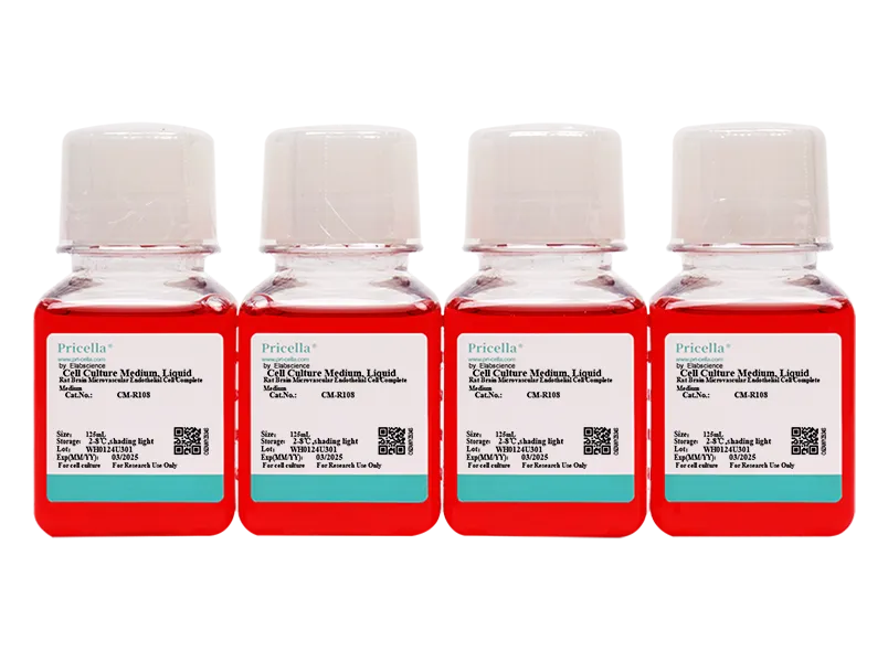 Rat Brain Microvascular Endothelial Cell Complete Medium - 4