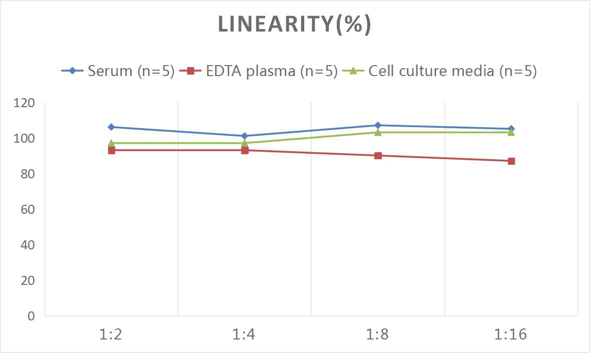 Human ANG2(Angiopoietin 2) ELISA Kit-产品推荐-1