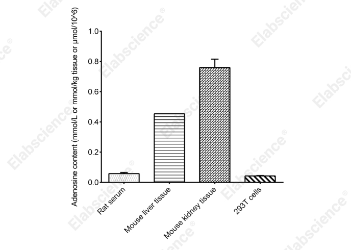Adenosine Colorimetric Assay Kit - 2