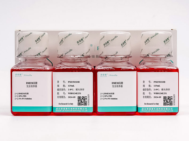 https://789.bio/ec/LChLpH