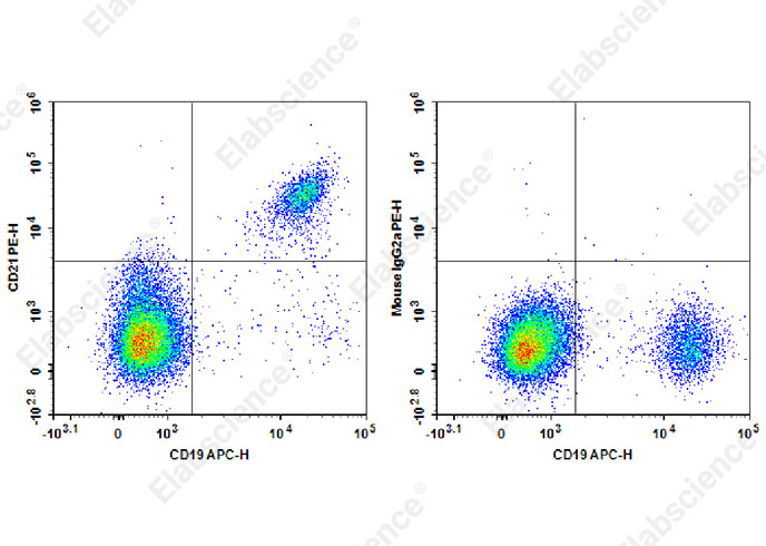 Elab Fluor® 488 Rat IgG2a, κ Isotype Control[2A3]-产品推荐-1