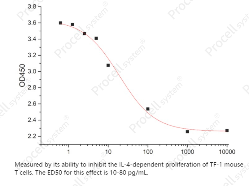 TGFβ3/TGFB3, Human, RecombinantTGFβ3/TGFB3, Human, Recombinant - 2