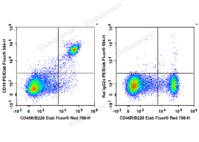 C57BL/6 murine splenocytes are stained with Elab Fluor® Red 780 Anti-Mouse CD45R/B220 Antibody and PE/Elab Fluor® 594 Anti-Mouse CD19 Antibody (Left). Splenocytes are stained with Elab Fluor® Red 780 Anti-Mouse CD45R/B220 Antibody and PE/Elab Fluor® 594 Rat IgG2a, κ Isotype Control (Right).