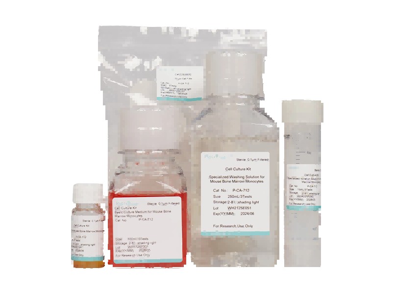 Mouse Bone Marrow Monocyte Isolation and Culture Kit