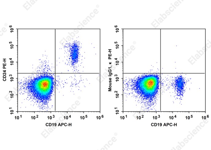 PE Anti-Human CD24 Antibody[SN3] - 1