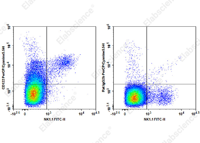 PerCP/Cyanine5.5 Anti-Mouse CD122 Antibody[TM-Beta 1]-1