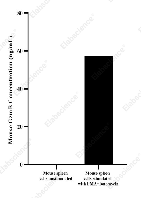 Uncoated Mouse GzmB(Granzyme B) ELISA Kit - 2