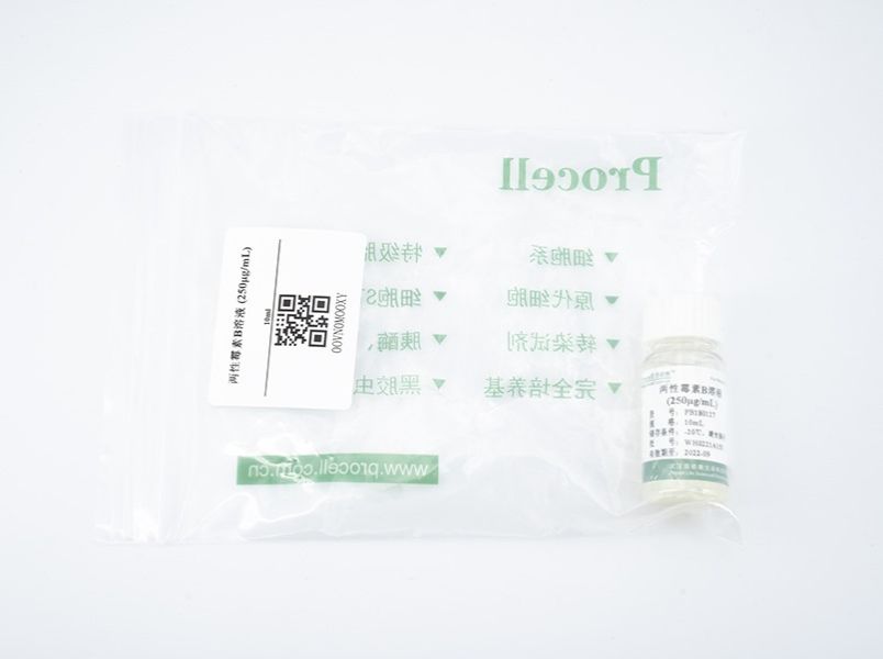 https://789.bio/ec/LKx9OG