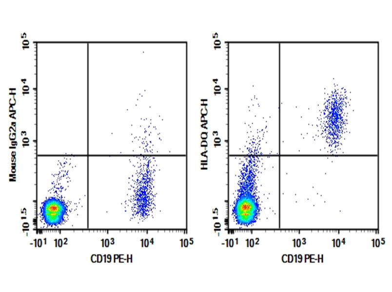 Purified Anti-Human HLA-DQ Antibody[1A3]-searchlist-1