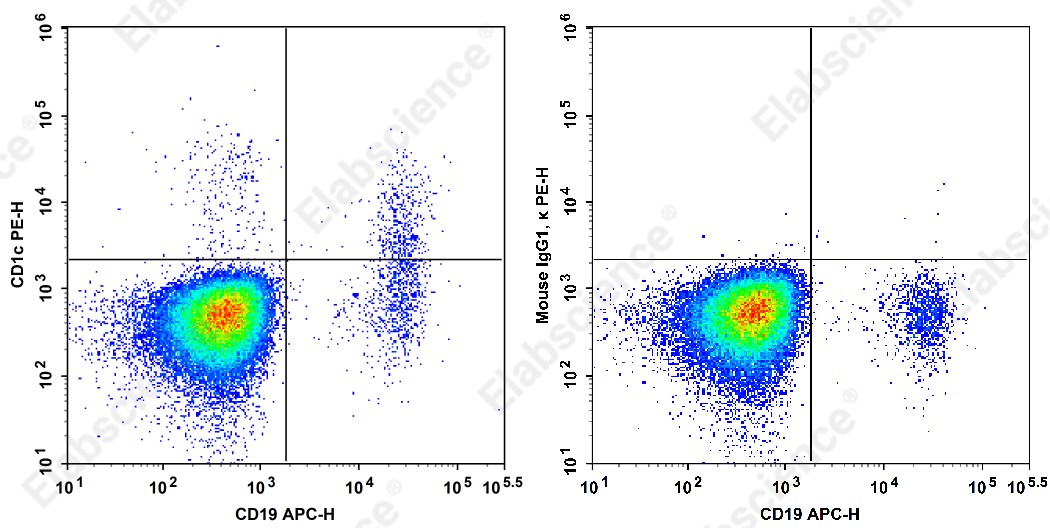 PE Anti-Human CD1c Antibody[L161] - 1