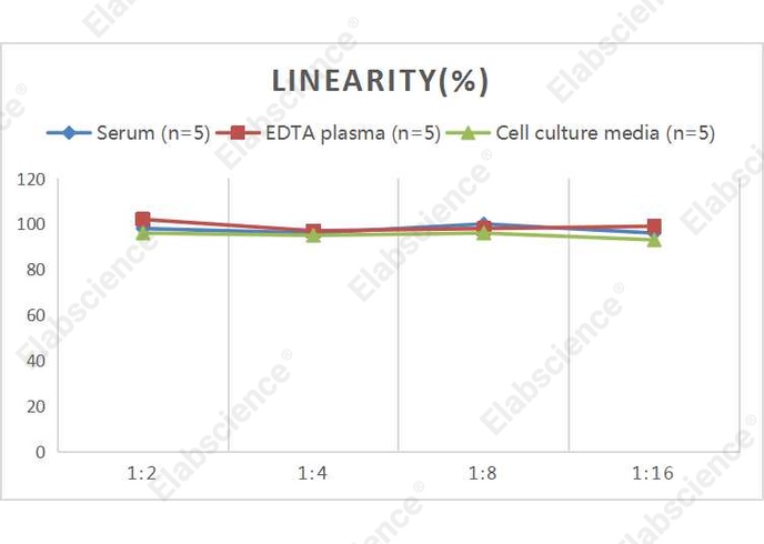 Mini Sample Human GAL3 (Galectin 3) ELISA Kit - 2