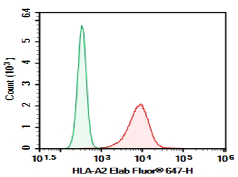Purified Anti-Human HLA-A2 Antibody[BB7.2]-1