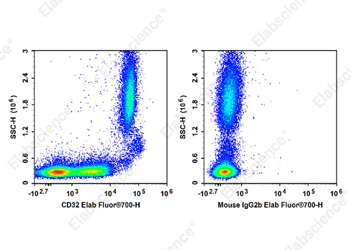 AF/LE Purified Anti-Human CD197 Antibody[G043H7]-产品推荐-1