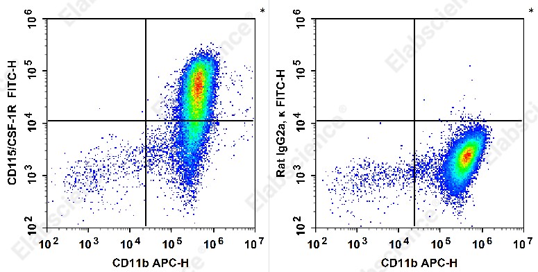 Elab Fluor<sup>&reg;</sup>488 Anti-Mouse CD115/CSF-1R Antibody[AFS98] - 1