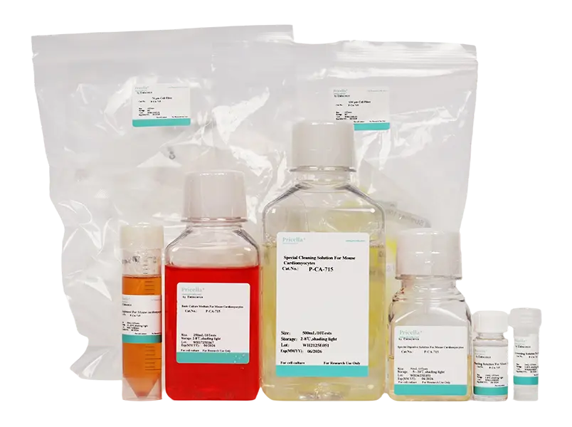 Mouse Cardiomyocyte Isolation and Culture Kit - 3