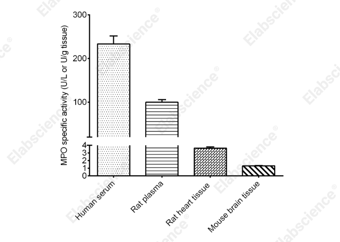 Myeloperoxidase (MPO) Activity Assay Kit - 1