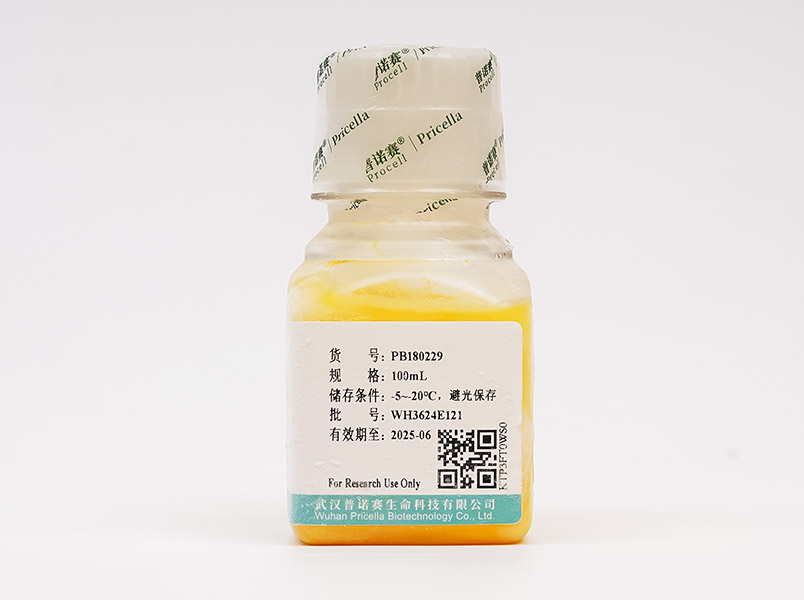 https://789.bio/ec/LVW1R8