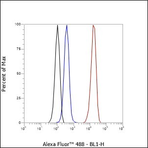 Recombinant IL-4 Monoclonal Antibody - small - 4