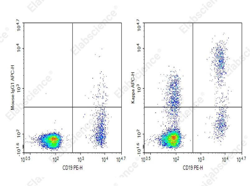 Purified Anti-Human Ig light chain κ Antibody[TB28-2] - 1