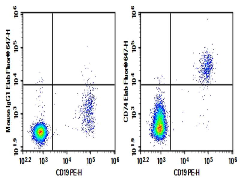 Purified Anti-Human CD74 Antibody[LN2]-1
