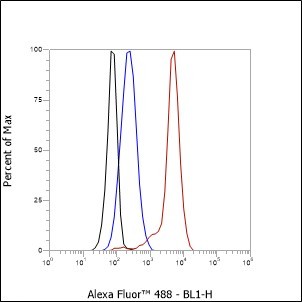 Recombinant Ataxin-3 Monoclonal Antibody - small - 6