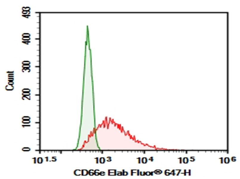 Purified Anti-Human CD66e Antibody[A5B7]-1