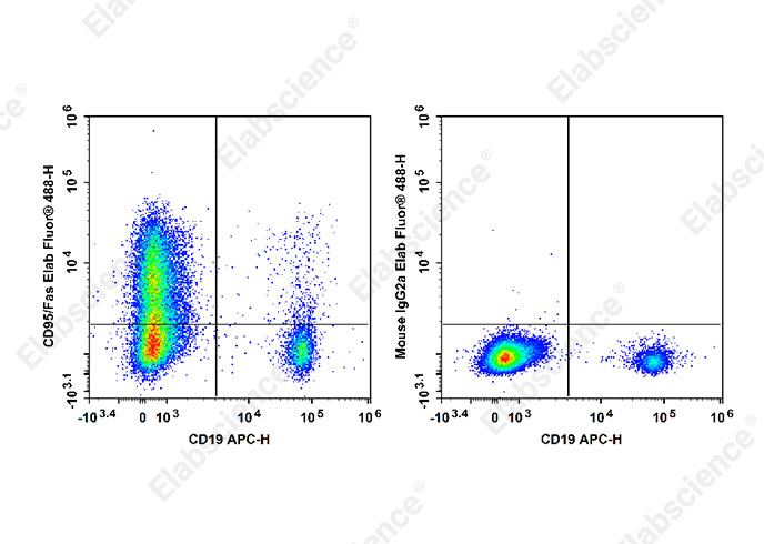 Elab Fluor® 488 Anti-Human CD95/Fas Antibody[HFE7A/APO]-1