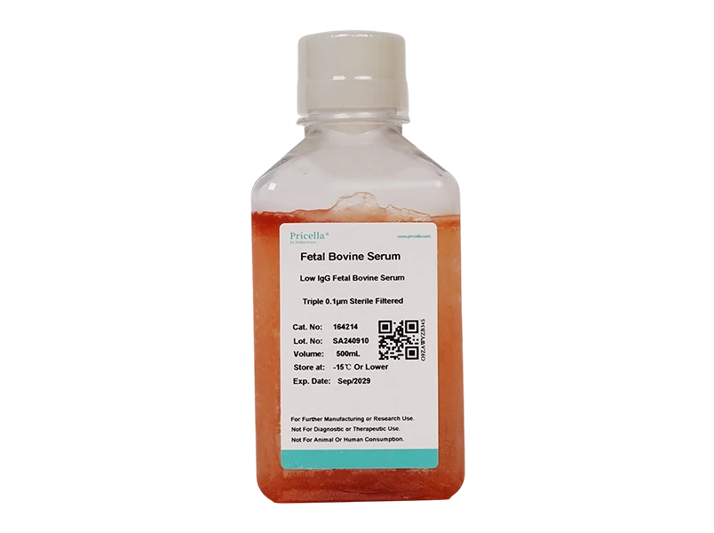 Low IgG Fetal Bovine Serum