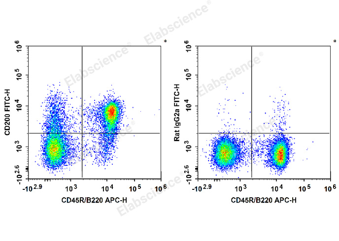 FITC Anti-Mouse CD200/OX2 Antibody[OX-90]-1