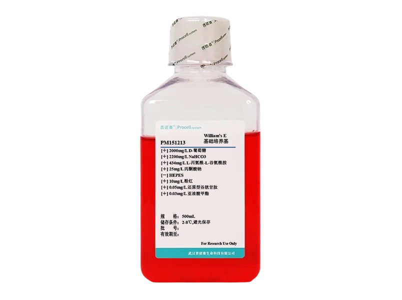 https://789.bio/ec/Lf0PF8I9