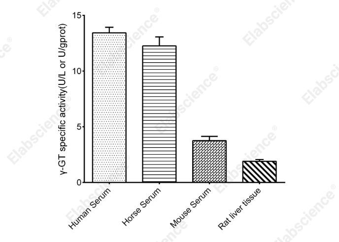 γ-Glutamyl Transferase (GGT/γ-GT) Activity Assay Kit - 2