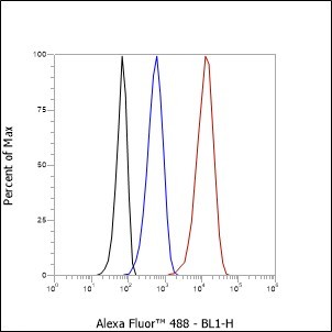 Recombinant GPNMB Monoclonal Antibody - small - 5