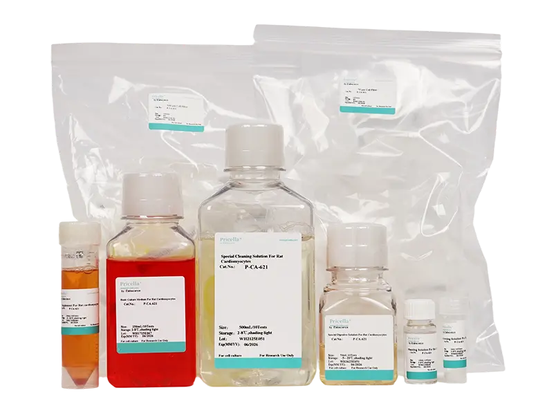 Rat Cardiomyocyte Isolation and Culture Kit - 3