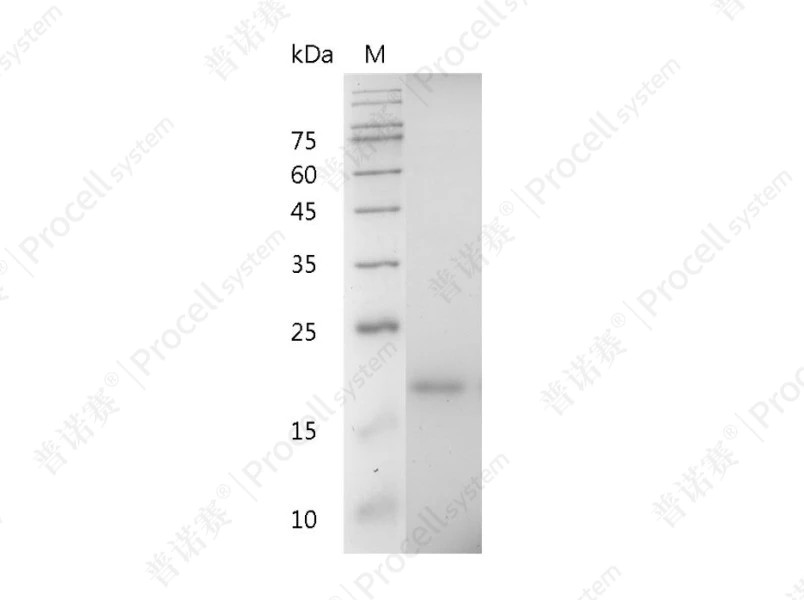 https://789.bio/ec/LhaDx1