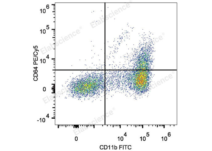 Purified Anti-Mouse NKG2A/C/E Antibody[20D5]-产品推荐-1